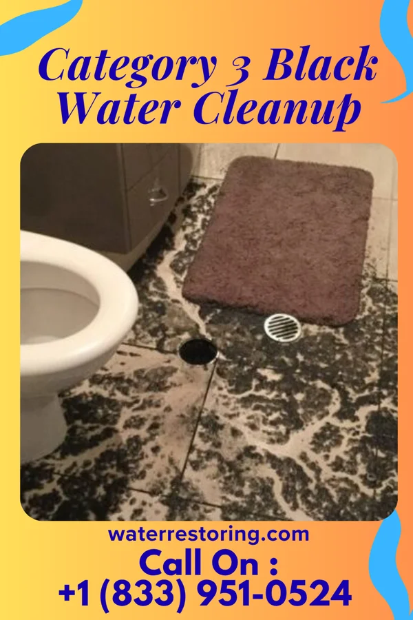 Category 3 Black Water Cleanup in North Carrollton, MS