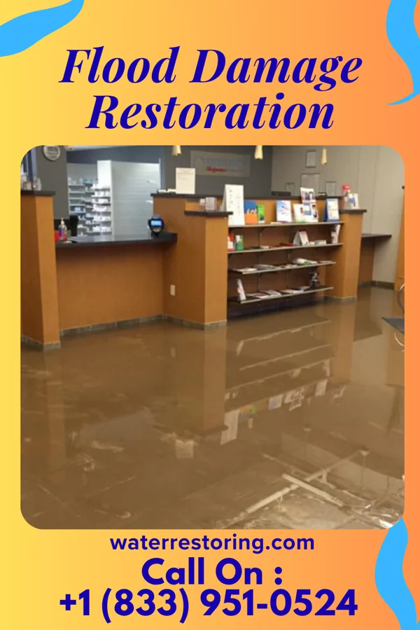 Flood Damage Restoration in North Carrollton, MS