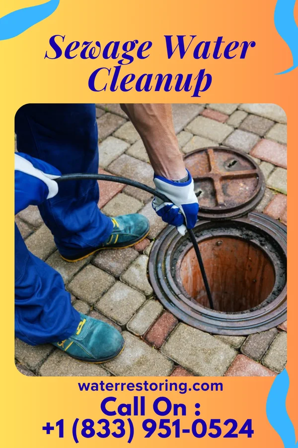 Sewage Water Cleanup in North Carrollton, MS