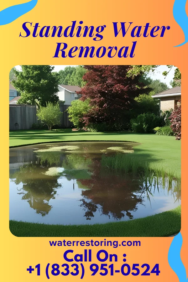 Standing Water Removal in North Carrollton, MS